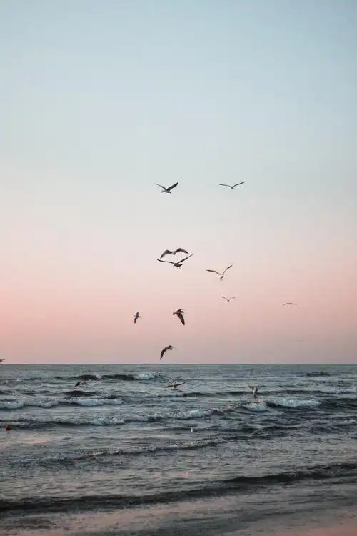 大海意境唯美风景图片