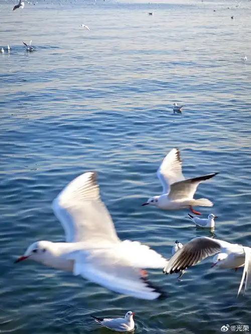 青岛##青岛旅游攻略