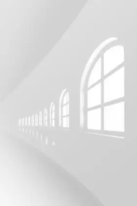 影子端午节放假通知散尾葵影子户外投影浅色树木光影影子窗户影子投影