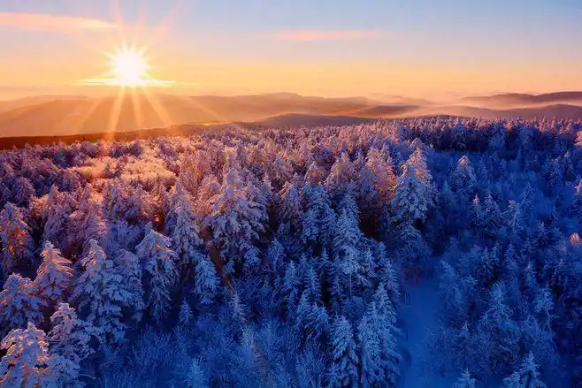 黑龙江自然保护区内的魅力-风景摄影-poco摄影作品展示