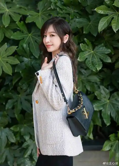 今天的王心凌不是一个可爱甜美的女孩,而是一个霸气十足的女总统.