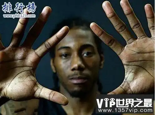 世界上最长的手鲍喜顺手掌长38厘米如蒲扇般大小2