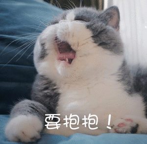 那些情侣聊天常用的表情包关于过节