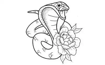 42张眼镜蛇纹身手稿线条图