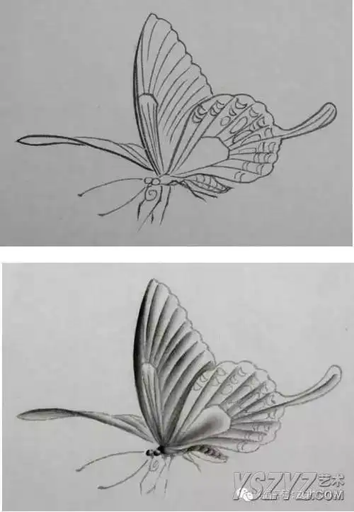 蝴蝶工笔技法步骤 精品