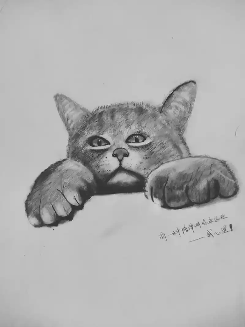 以前的素描画.这两天瓶颈期,不想画,容易烦躁,歇两天看两天学 - 抖音