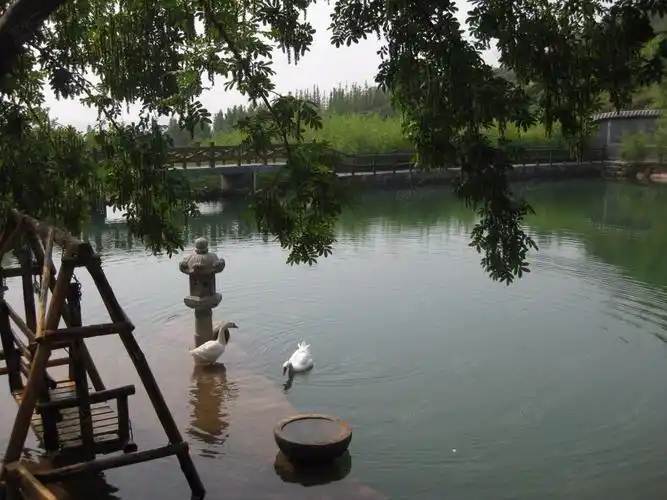 青岛崂山民俗文化村环境图片