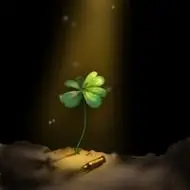 四叶草图片头像好看的小清新风格四叶草头像图片