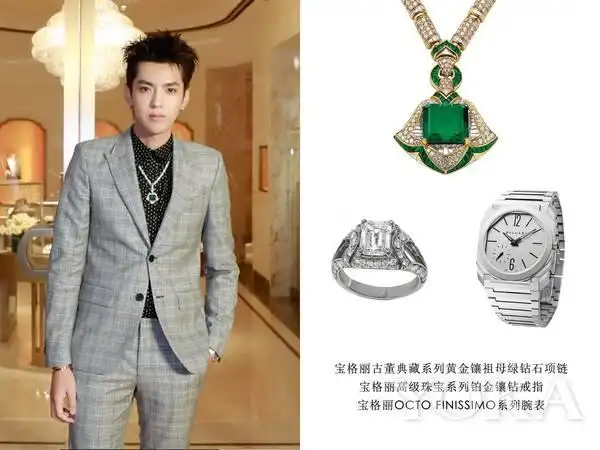 吴亦凡佩戴宝格丽珠宝(图片来源于品牌)