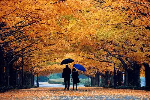 让我们珍藏美好的回忆照片书