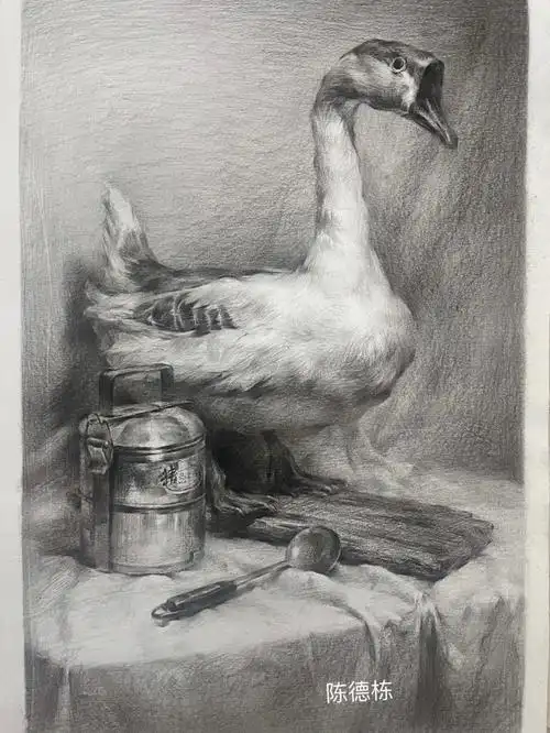 画画  #静物素描  #美术生集训  #素描 #画  画一张热门鸭.