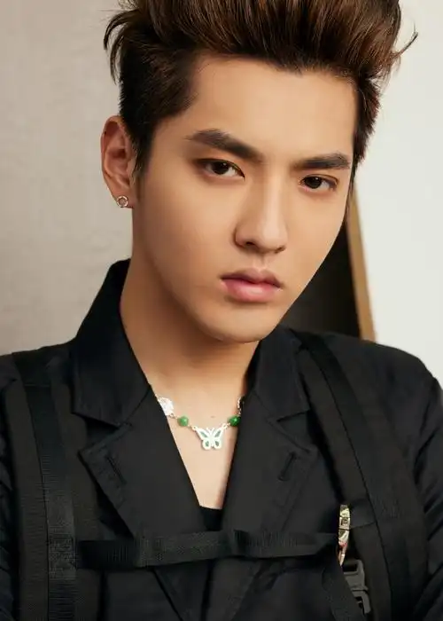 吴亦凡相关图片