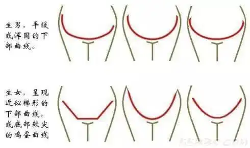 原来孕妇肚型分4大类, 你属于哪一种?