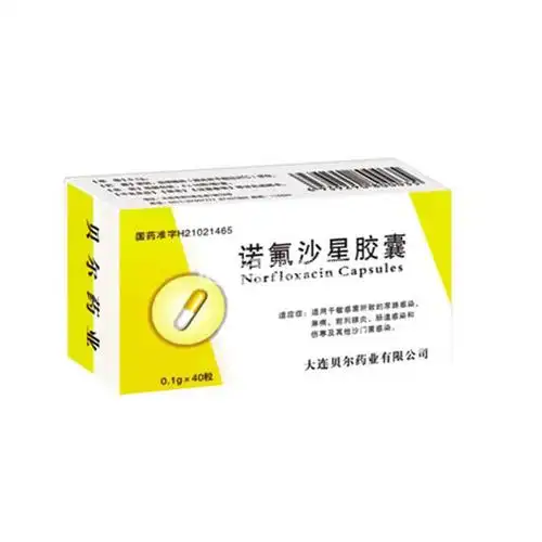 诺氟沙星胶囊说明书(云南白药诺氟沙星胶囊说明书)