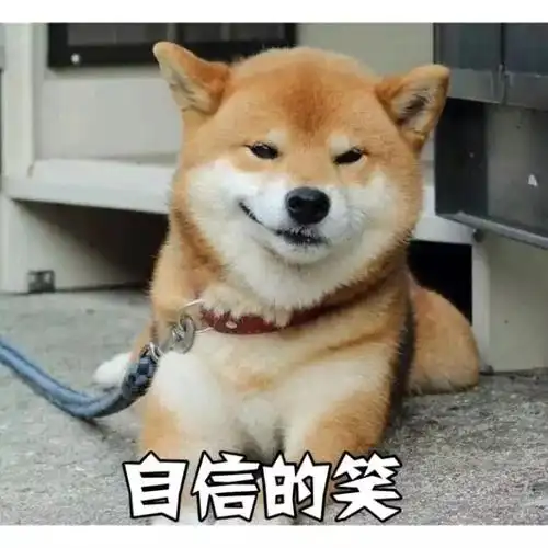 自信的笑表情包 - 表情图