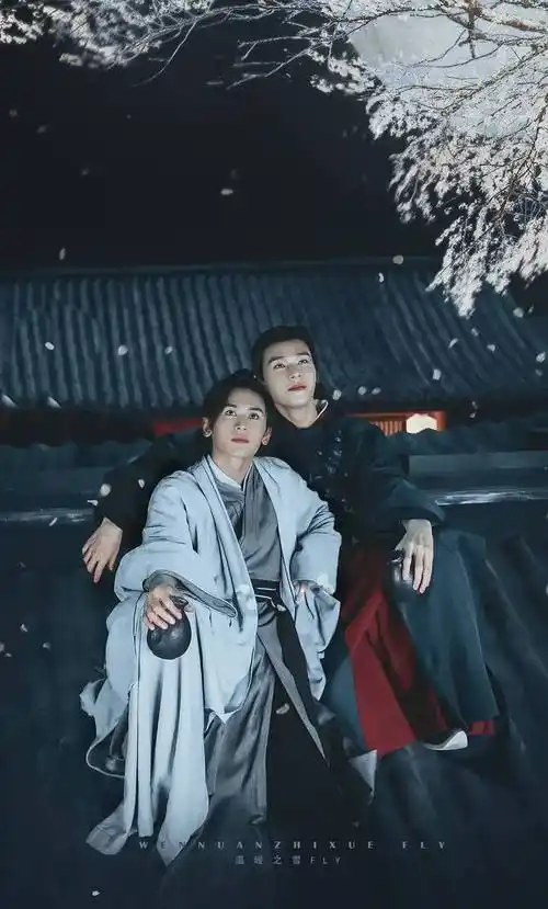 山河令又一次让双男主爆火出圈磕cp为何让人那么上头