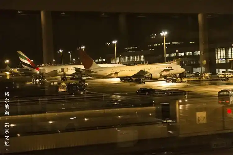 晚上6点左右到成田机场.夜晚的成田机场.出境直接去3f