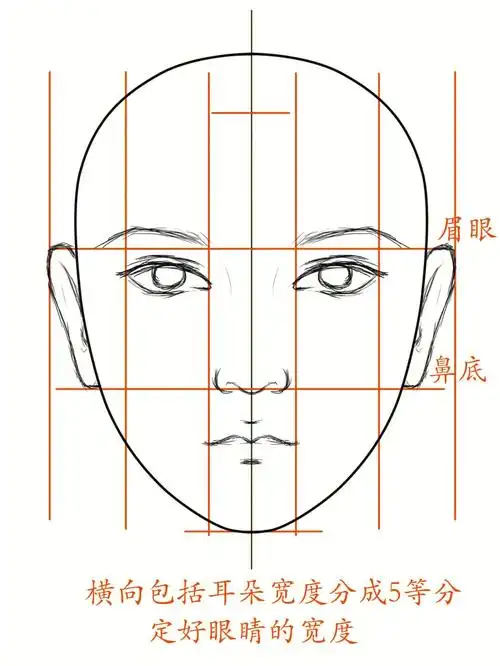头部五官比例绘制步骤三庭五眼