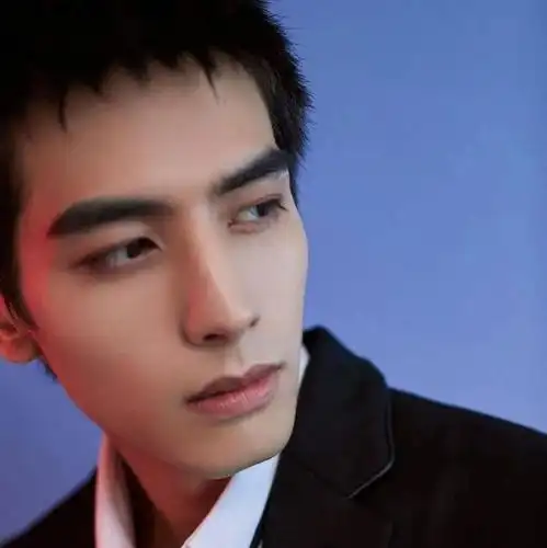 微信头像宋威龙