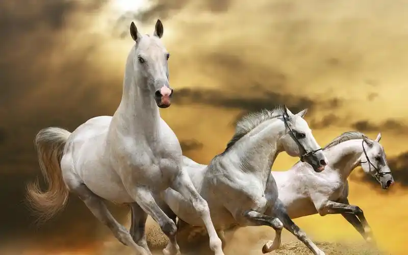 芯片,新能源汽车与大飞机:站在当下时点,三大赛道如何投资?