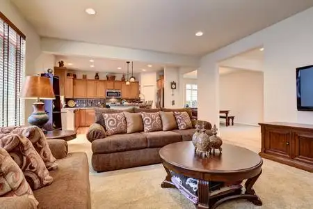 天鹅绒地毯典型的客厅里,在美国人家里有地毯和天鹅绒 sof照片