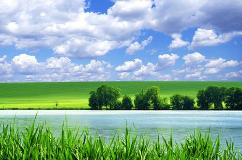 3d立体墙纸桌面墙上风景壁画自粘大自然整张卧室绿色客厅装饰背景墙