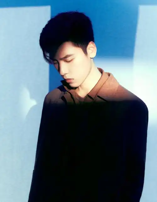 王子异棕色西装18宫格