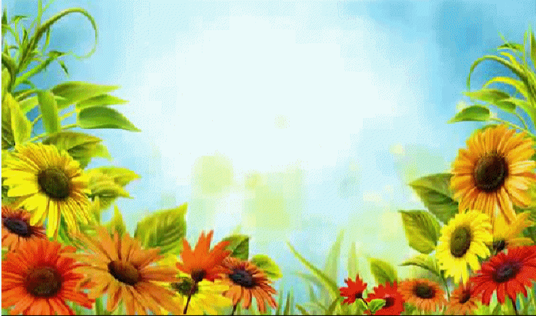 【gif-动图】—音画制作鲜花背景素材 同步歌词