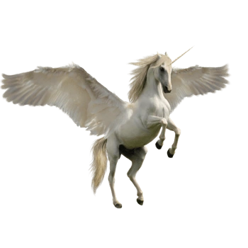 带翅膀的独角兽