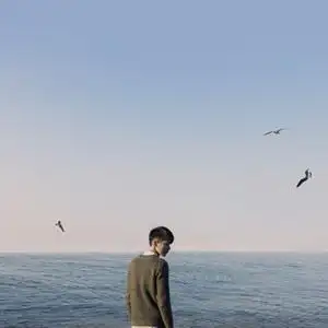 微信头像风景大海海鸥点击鼠标右键下载