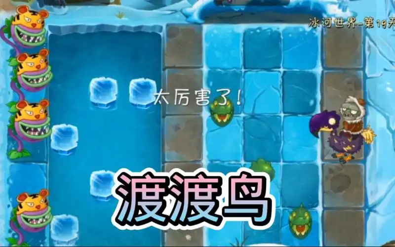 植物大战僵尸2冰河世界(困难19)渡渡鸟小游戏,玩的就是心态