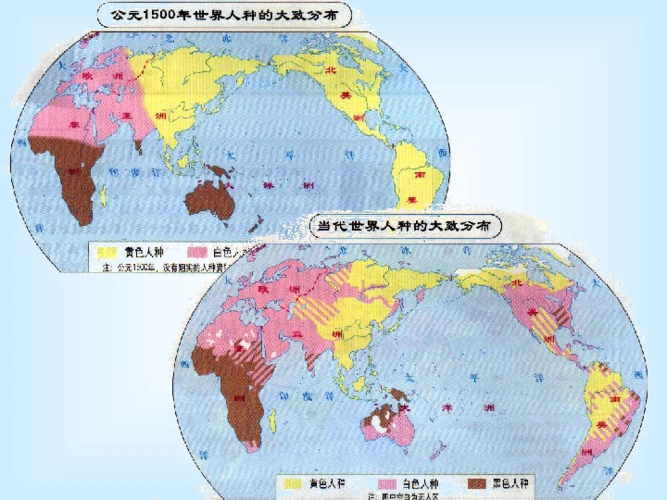 中图版 8年级上期人种与人口课件