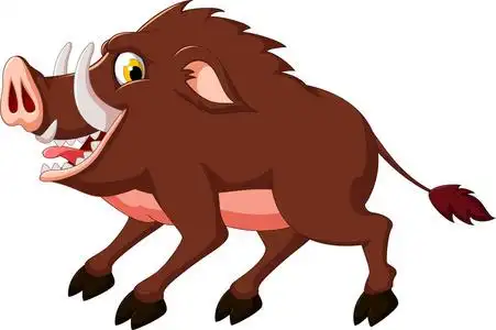 野猪图片凶猛图片-野猪图片凶猛素材-野猪图片凶猛插画-摄图新视界