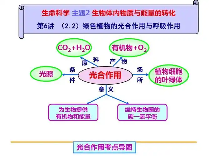 2015浙江中考衢州科学一轮复习第6讲 绿色植物的光合作用与呼吸作用