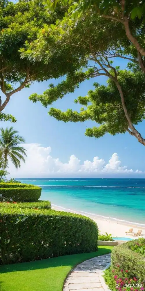 海岸边的神秘之夜