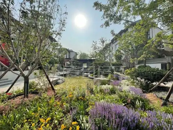 北京朝阳孙河景粼原著(东区别墅)合院东入户,有自家电梯,有花园双车位