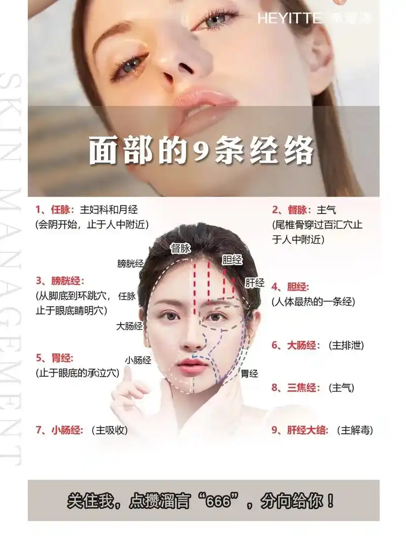 面部的9条经络.#美容院加盟 常说面部有九条筋络,是哪九条? - 抖音