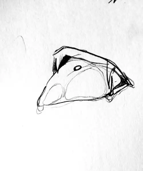 尖牙利齿 - 半次元 - acg爱好者社区