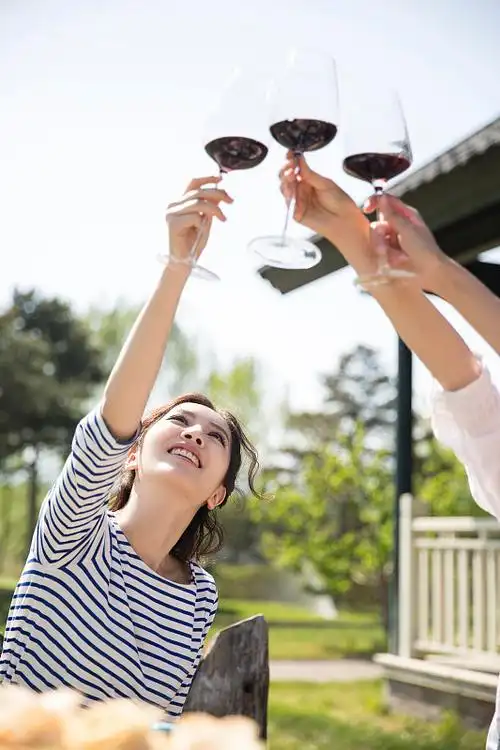 年轻闺蜜举杯庆祝图片下载