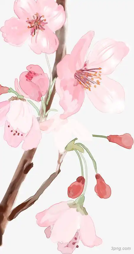 手绘粉色梦幻春天桃花png素材透明免抠图片-动植人物-三元素3png.com