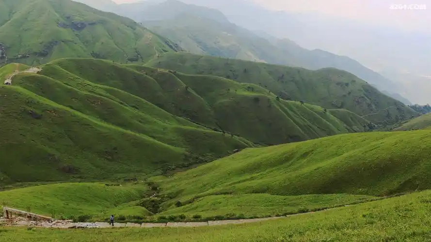 时光转逝五月天, 武功山美不虚传. 高山草甸绿无限, 风舞祥云在眼前!