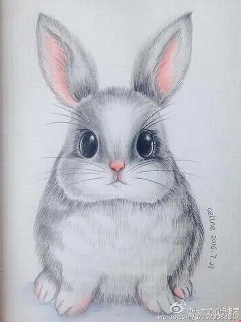 兔子彩铅画简单的真实兔子彩铅画