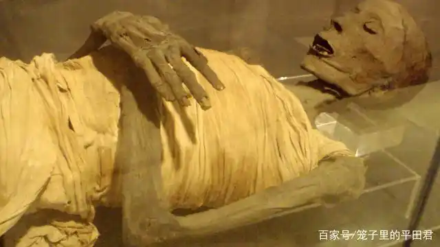 几千年前的木乃伊居然传来心脏跳动的声音!它还活着吗?