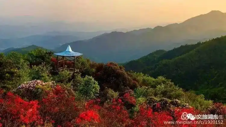 广寒寨乡四八门赏映山红温馨提示