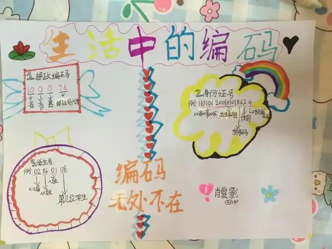 生活中的数字编码—四年级数学实践活动