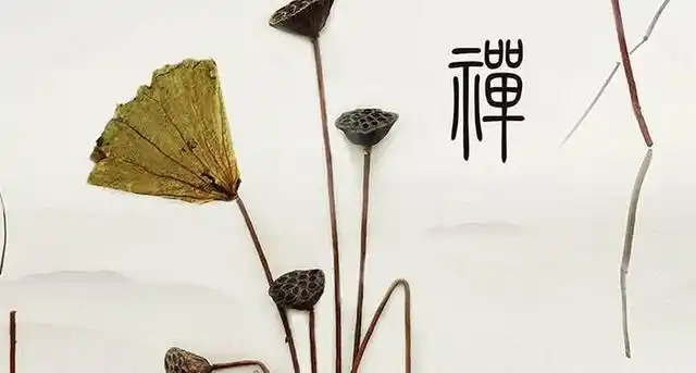 禅意是一支独具中国特色的佛教派别,一起来看看