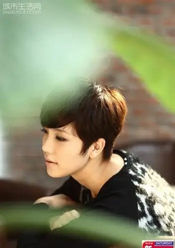 鹿晗粉刷的广告有感,你们觉不觉得鹿晗长得很像几年前那个快女李霄云?