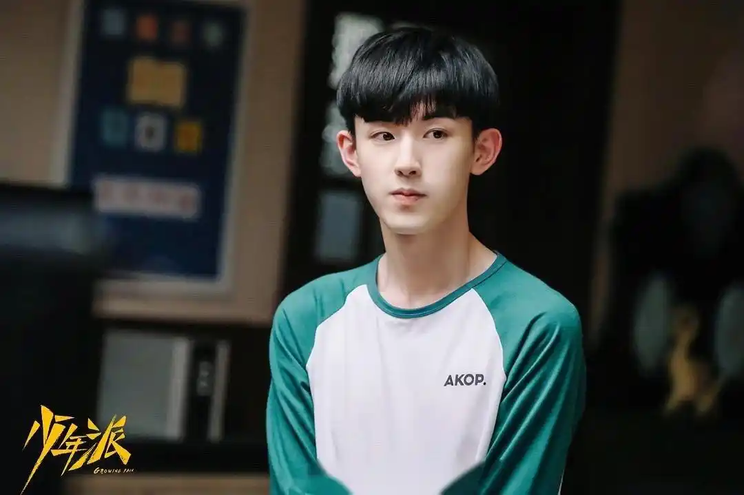 【电视剧少年派 将拍第二部】 电视剧:少年派2 出品公司:贰零壹陆影视