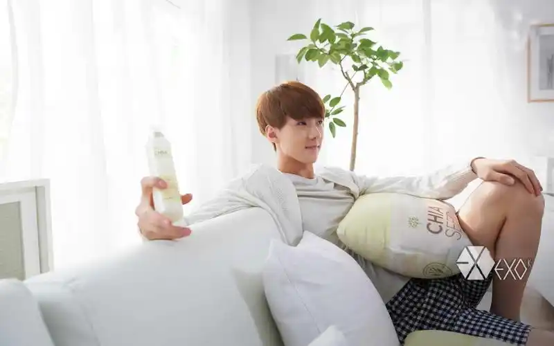 养眼帅哥exo吴世勋高清电脑桌面壁纸第二辑