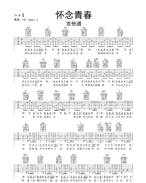 怀念青春吉他谱乐谱